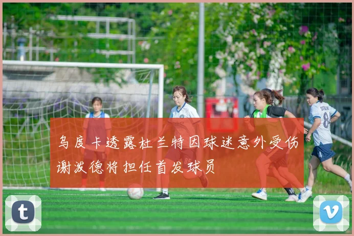 乌度卡透露杜兰特因球迷意外受伤谢泼德将担任首发球员