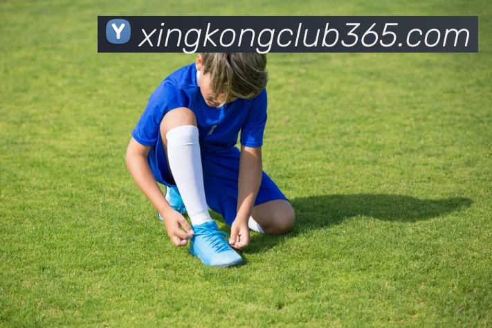 星空体育发展历程